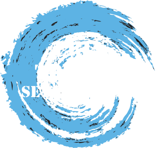 Erin Trinsey Setter Clinic